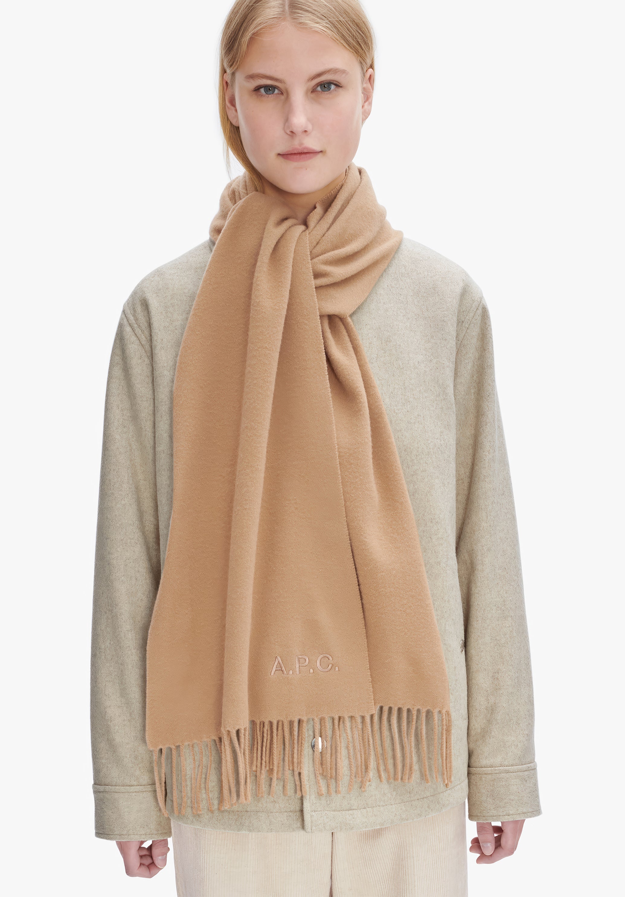 Ambroise embroidered scarf - 5